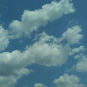 Meet your Posher, Sofia